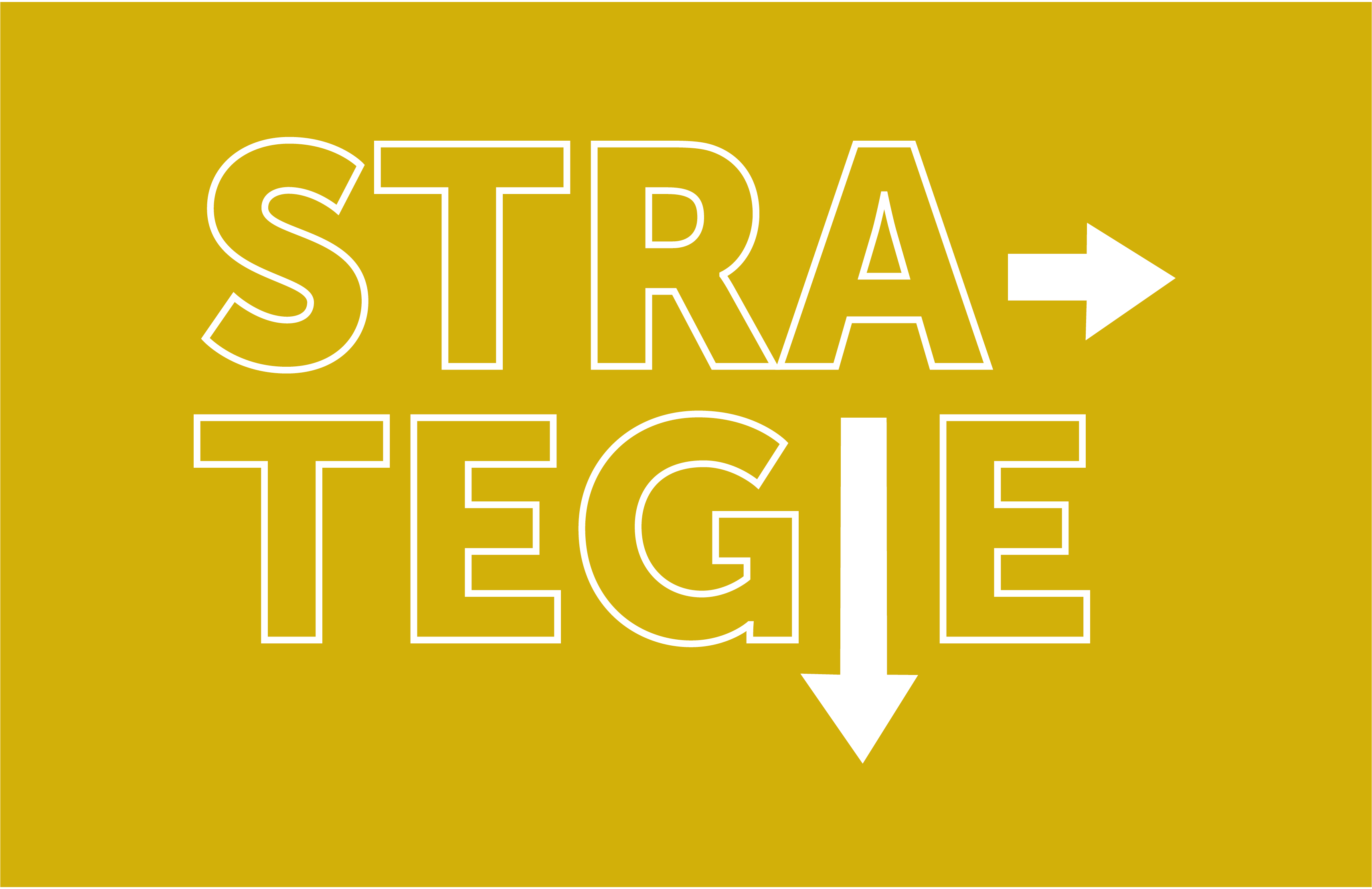 strategie_Tekengebied 1